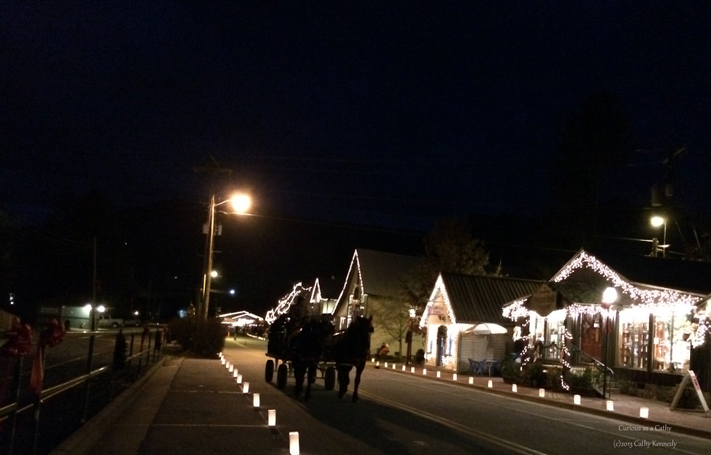 WW Christmas in Dillsboro, North Carolina Curious as a Cathy