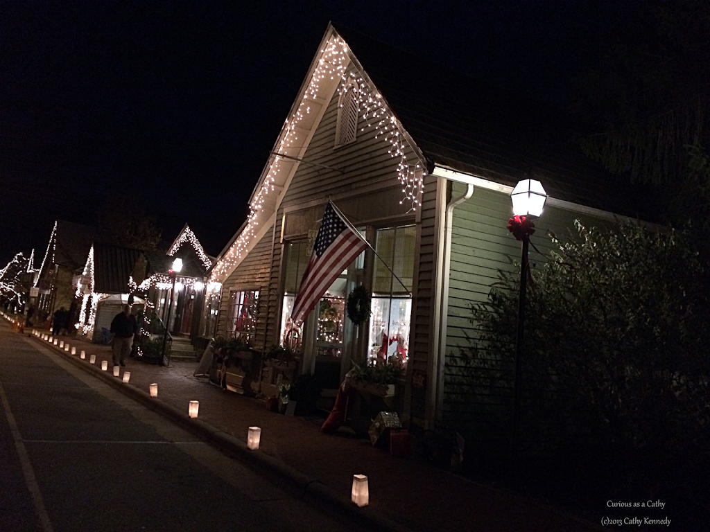 WW Christmas in Dillsboro, North Carolina Curious as a Cathy