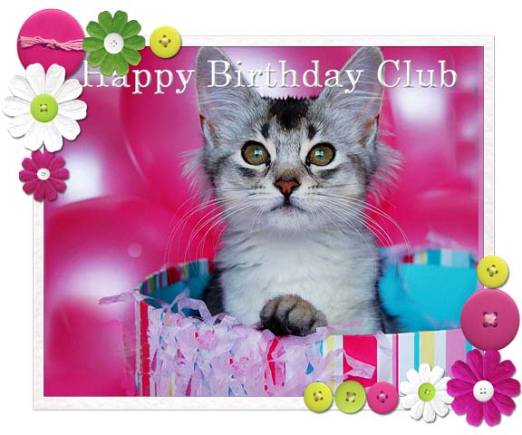 happy birthday club – Curious as a Cathy