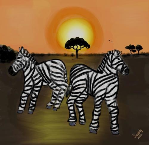 2022-04-30-A2Z-African-Plains-Zebras1